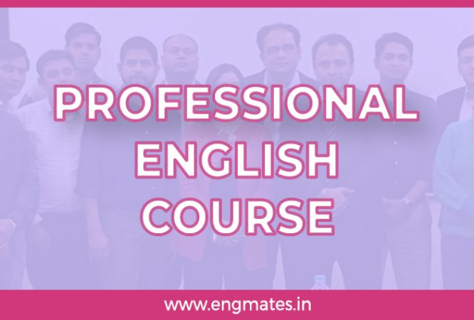 Professional English Course