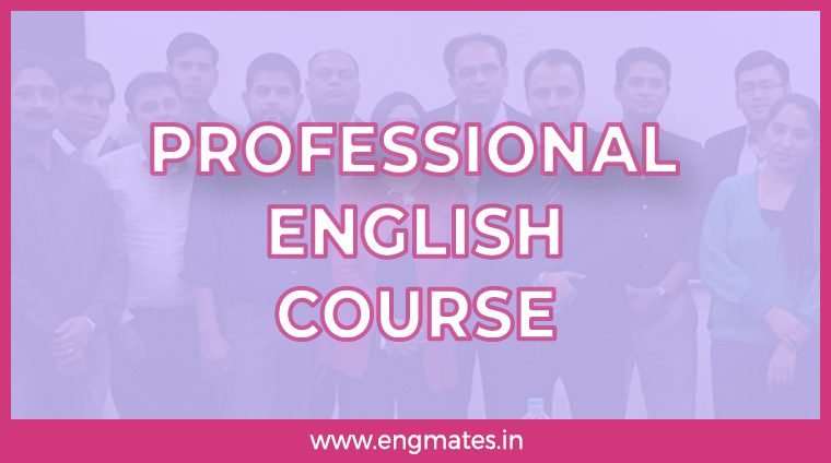 Professional English Course